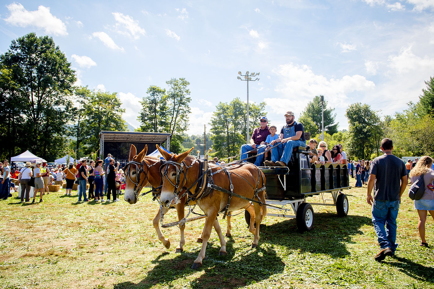 Wagon Rides